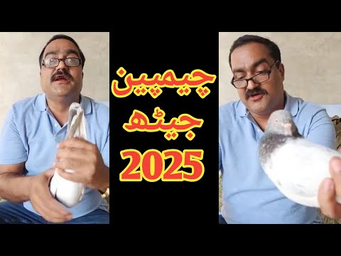 Ustad Rana Munna Pigeons Champions