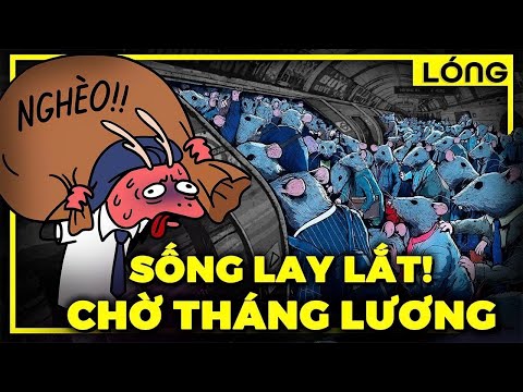 Vì sao tôi đi làm mãi mà vẫn nghèo (bản chất của tiền)