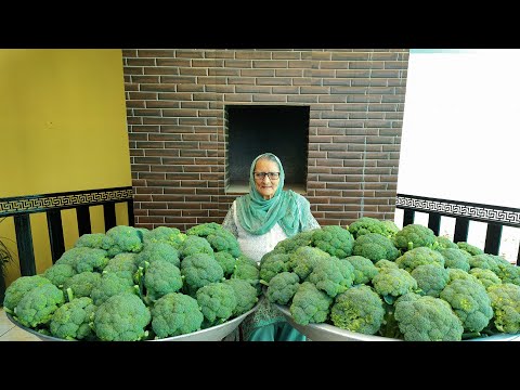 TANDOORI MALAI BROCCOLI | Broccoli Recipe By granny | Indian Snacks Recipe Veg Recipes
