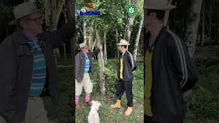 6 piadas