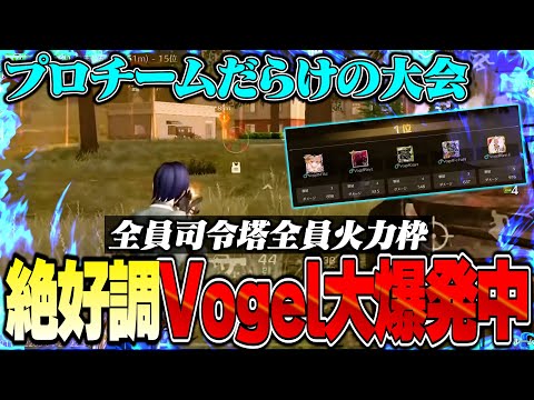 Vogelの火力が大暴走し始めてる19キルKOヤバいww【荒野行動】