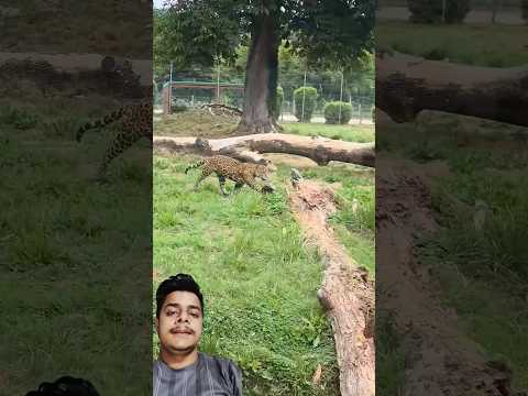 Mind-blowing Gadgets and tools Revealed 🚀 #short #Gadgets 168