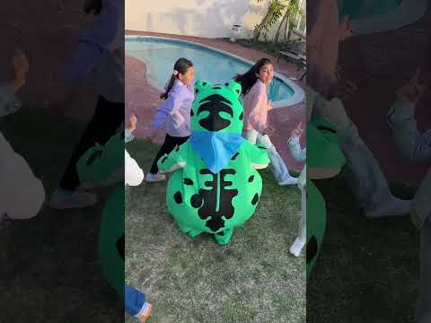 Amamos al sapito 🐸💚 #musicainfantil #cancionesparaniños #musicaparaniños