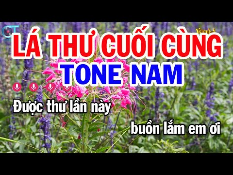 Karaoke Lá Thư Cuối Cùng Tone Nam Dm | Nhạc Sống Mới || Karaoke Tuấn Kiệt