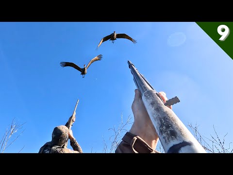 COVERED UP In DUCKS and CRANES On Opening Day (Limited Out) | Duck Hunting 2025