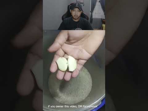 Cara menghilangkan kutu beras