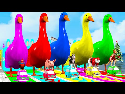 5 Giant Duck Cartoon,Cow,Elephant,Tiger,Lion,Gorilla, Paint Wild Animals Crossing Fountain Animation