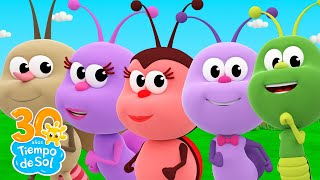 Mix Bichikids 🐞 Canciones Infantiles 🎶 30 Años | Dúo Tiempo de Sol