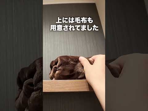 【快活CLUB】最新ネットカフェがもはや“ホテル”超え…完全個室＆シャワー＆トイレ付きが最強すぎた！