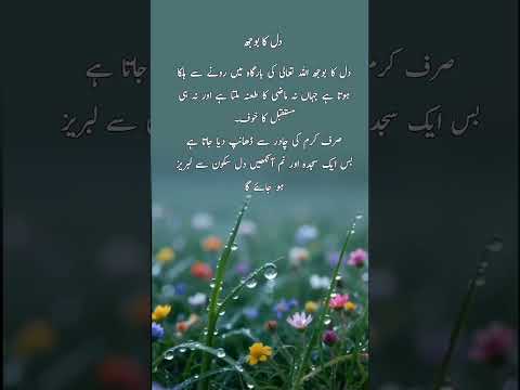 #quotes #poetry #motivation #aqwalezareen #4line #love #shorts