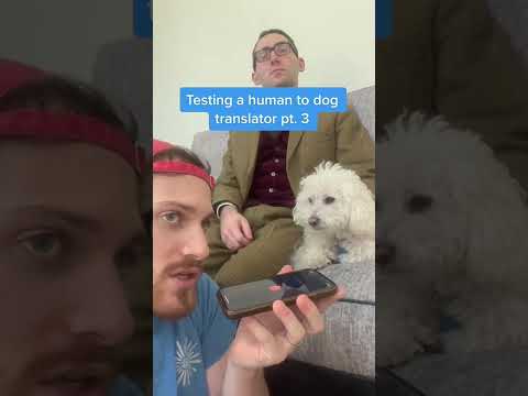 Human to Dog Translator Compilation!