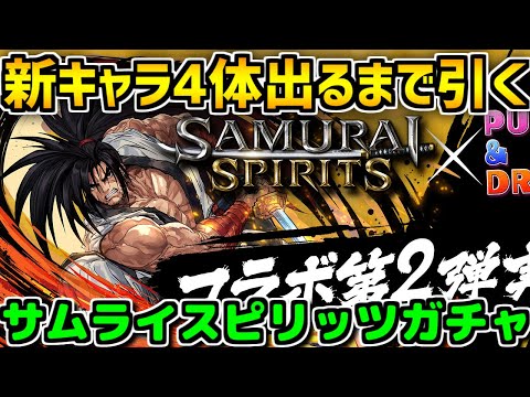 【破産確定？】サムライスピリッツガチャ、コンプするまで引いてみた！【パズドラ】