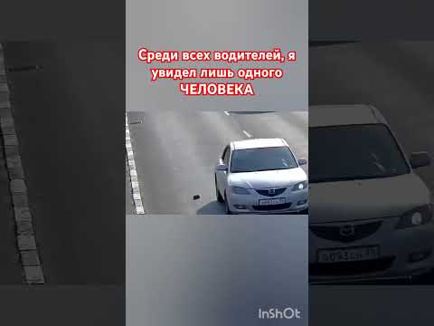 Твори добро ♥️♥️♥️ #животные #любовь #музыка #топ #шортс