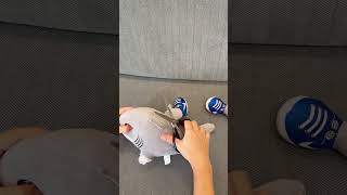 動画サムネイル