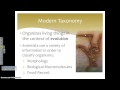 Taxonomy and Classification Concepts
