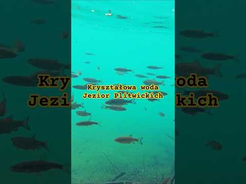 Co żyje pod taflą jeziora (Chorwacja special 6)