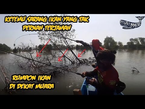 MANCING EMOSI!! KETEMU SARANG IKAN YANG SANGAT MENJANJIKAN   DEWO RUCI KEGIRANGAN