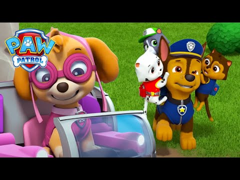 Chase encontra os gatinhos desaparecidos do Presidente da Câmara | Patrulha Pata | PAW Patrol