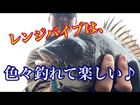 【25年6月】シーバスウェーディング！リベンジしたら凄いのが釣れたｗ