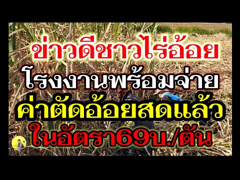 ข่าวดี❗️เตียมรับเงินช่วยเหลืออ้อยสด(18ม.ย.68)