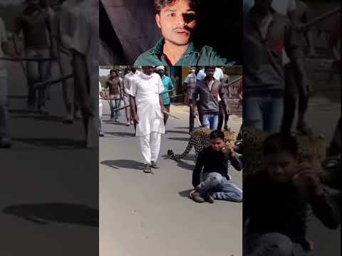 #SoraAI #AIVideo #FunnyReel #DesiMeme #ViralShorts #AIKaJadu #ReelItFeelIt #ShortsIndia