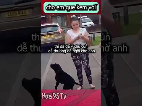 Que kem Xứng Đáng cho sự chờ đợi của chú cún