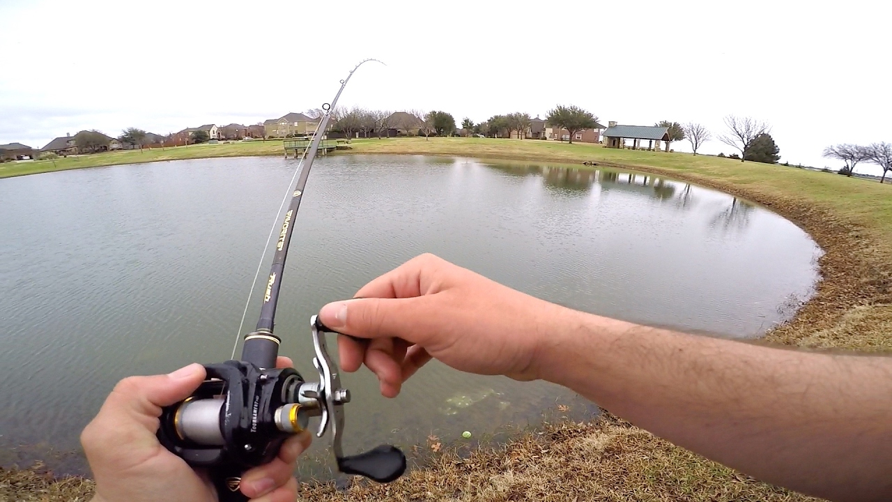 Exploring the GOOGAN SQUAD HOUSE Ponds