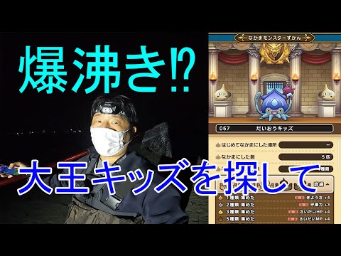 ドラクエウォーク１312【リアルだいおうキッズを捕まえろ！漁師に転職した勇者！爆沸きホタルイカを求めて富山へ】