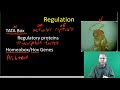 Gene Regulation and Cancer Biology