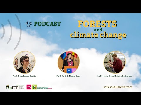 Miniatura del video titulado PODCAST FORESTS and climate change.