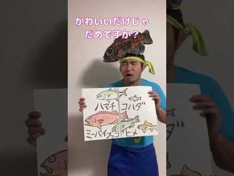 魚の名前で【かわいいだけじゃだめですか？】