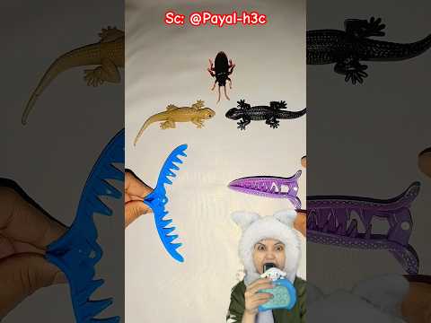 Kan sama⁉️⁉️ Payal-h3c