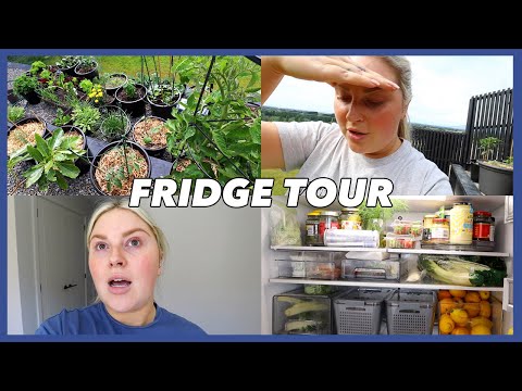 fridge tour & vegetable gardens ? vlog 727