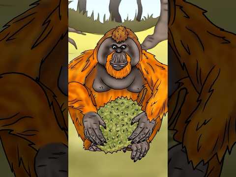 Seed to Stink: Durian Life Cycle in 28 Seconds 🌱👀 #animation #durian