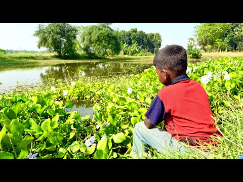 Unbelievable Technique Fishing || The Village Boy Catching Fish By Hook In Beautiful Nature