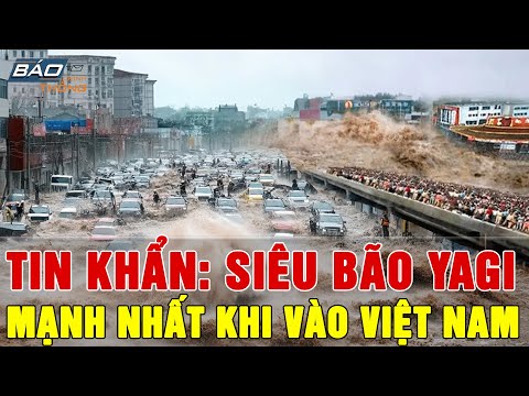 🔴KINH HOÀNG: Mỹ, Nhật Bản, Trung Quốc dự báo SIÊU BÃO YAGI sẽ TÀN PHÁ chưa từng có khi vào Việt Nam