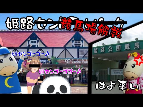 【地方競馬】姫路競馬、それは指數泣かせの激遲時計【ゆっくり解説】