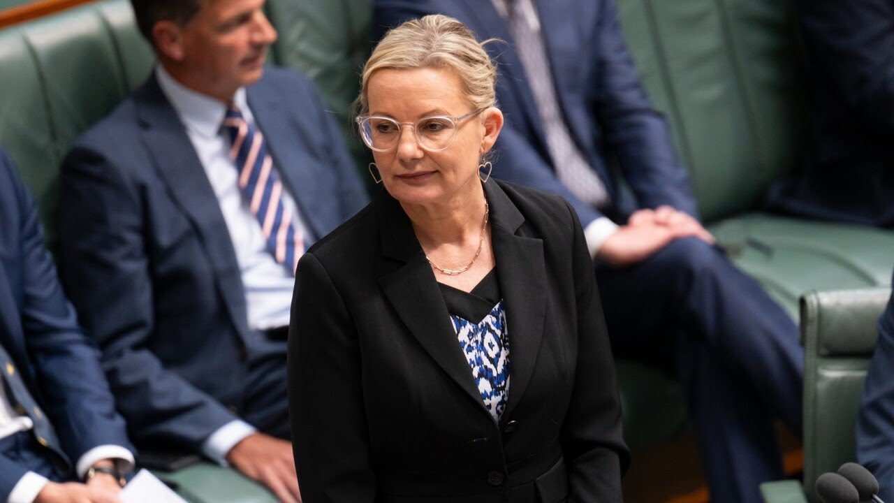 ‘Hurting Australians’: Sussan Ley blasts Albanese government for ‘mismanaging economy’