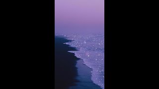 (FREE) Playboi Carti x Pierre Bourne Type Beat "Dream"