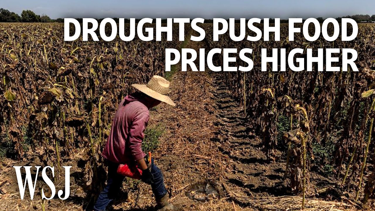 How Extreme Droughts Are Fueling Food Inflation