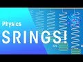 Understanding Springs and Hooke's Law