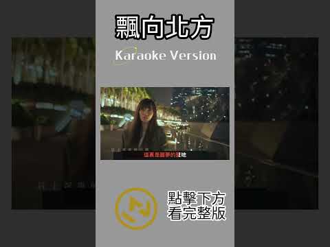 飄向北方 #文慧如 #ktv #伴奏 #ktv伴奏 #karaoke