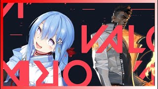 【VALORANT】初心者には敷居が高いらしいヴァロ【Vtuber】