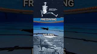 How To Kick for No Fins Freediving