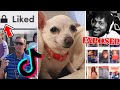 Understanding TikTok Content and Influences