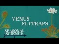 Venus Fly Trap Knowledge Assessment