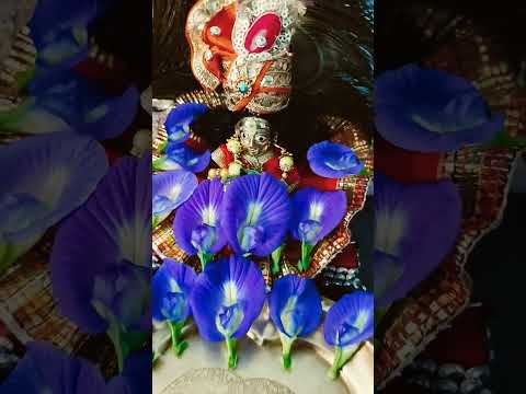 श्री कृष्ण कहते हैं 🦚🙏 #motivation #motivational #ytshorts