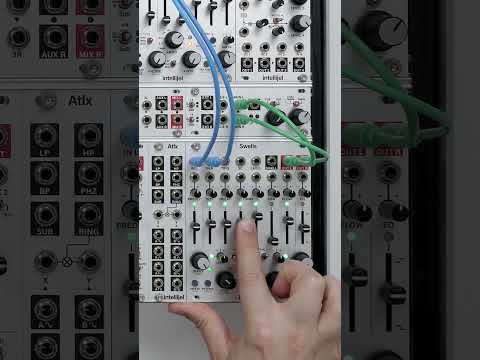 Final batch of Swells Explorations is up 🌊 #intellijel #swells #modular #reverb