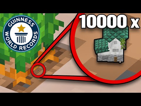 Smallest Minecraft House World Record