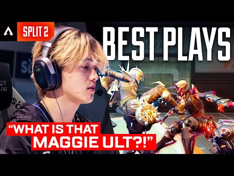 BEST PLAYS of Split 2 Week 5 ALGS Pro League (ft. Koyful, Zer0, Unlucky, Yulariman & More)